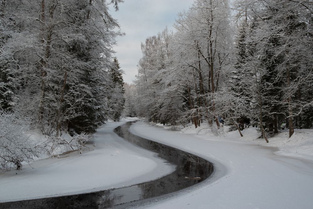 Photograph by Криволуцкий Вячеслав