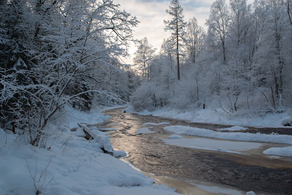 Photograph by Криволуцкий Вячеслав