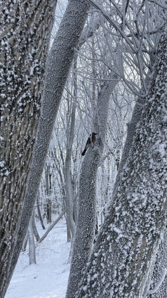 Photograph by Рузанна Гюрджян