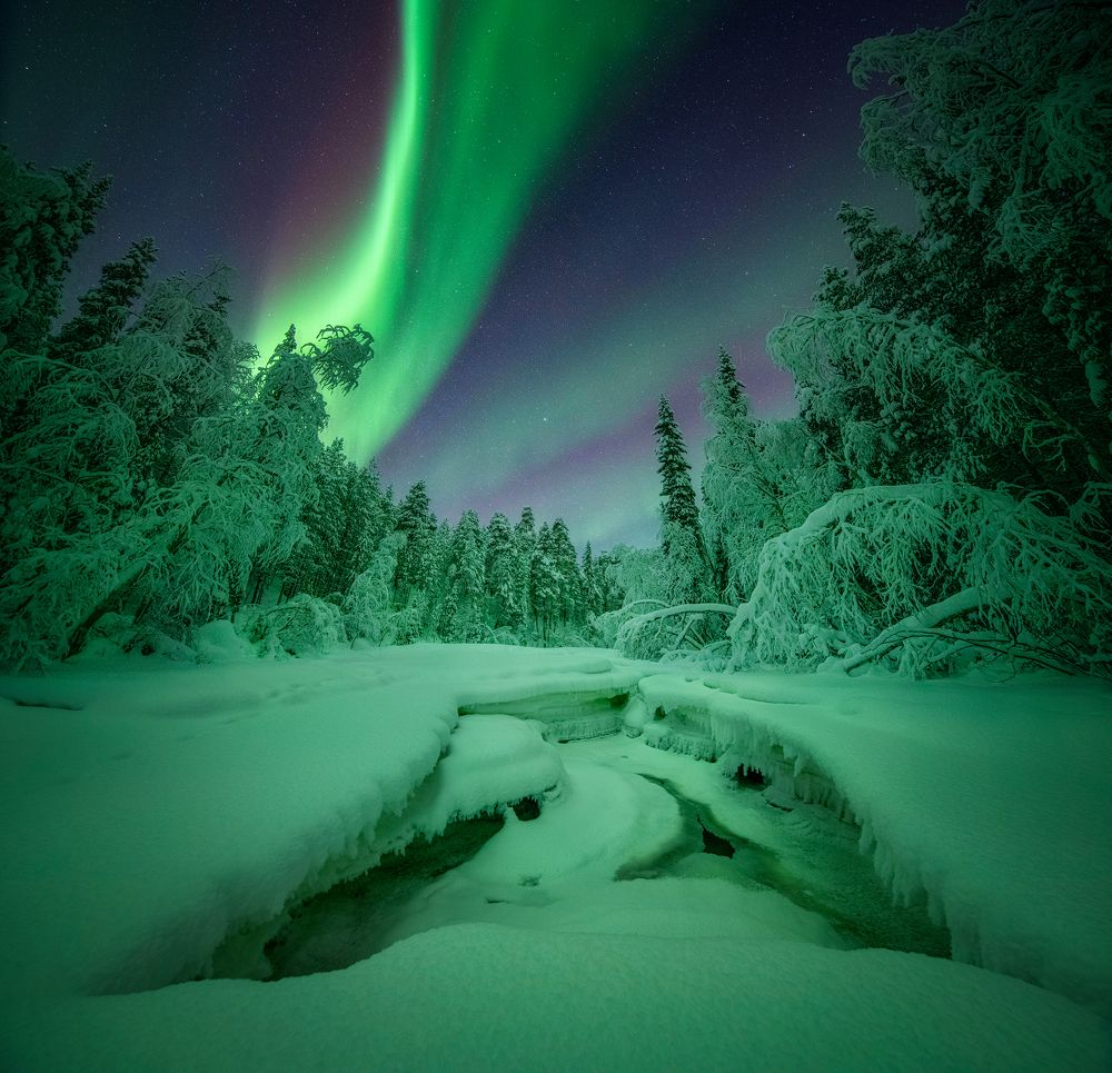 Photograph by Елена Ермолина