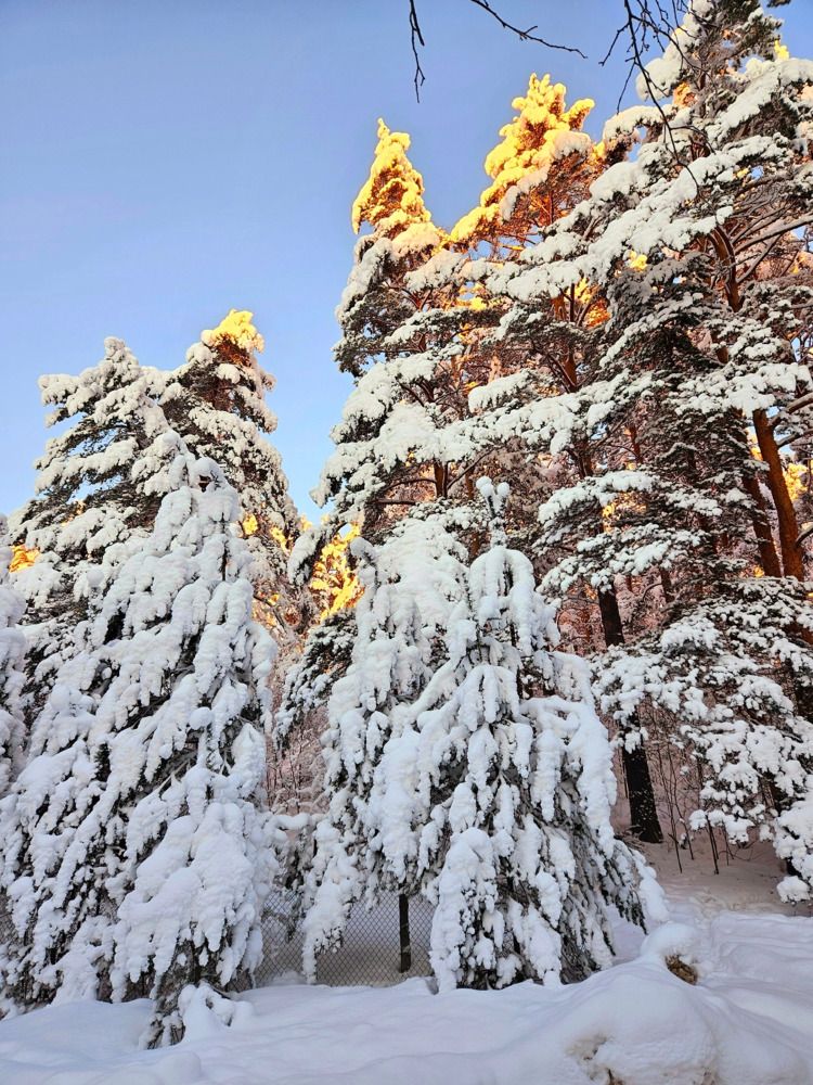 Фотография автора Наталья Бруёк