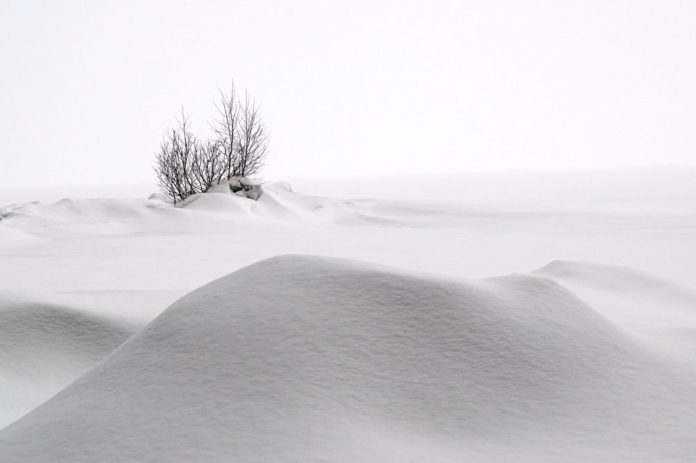 Photograph by Елена Амозова