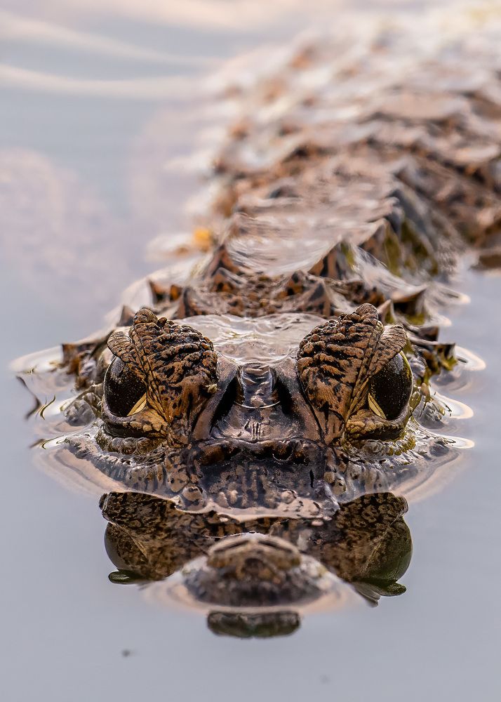 Photograph by Rose-Anne Reyes