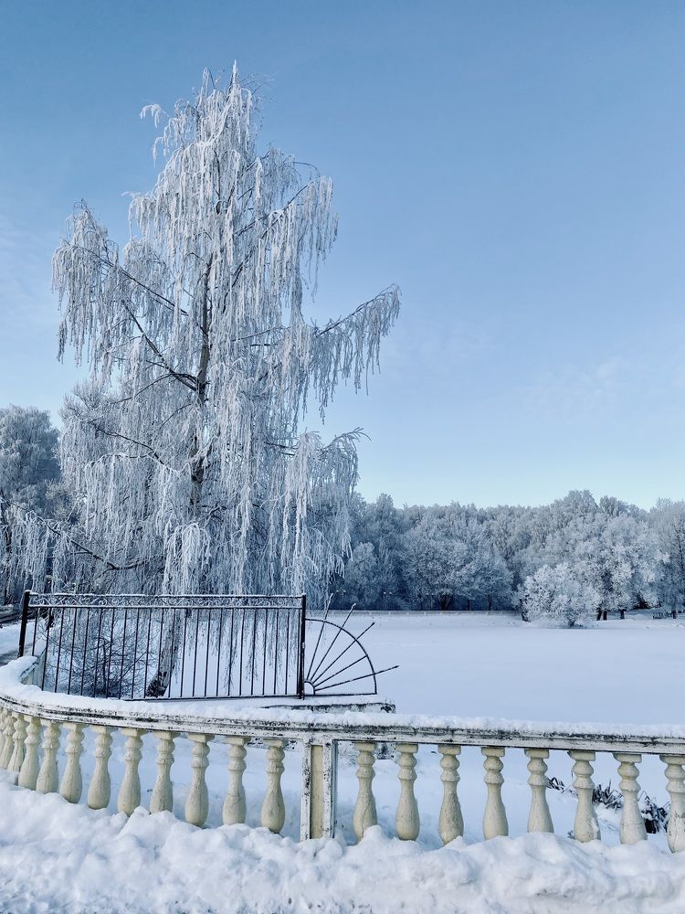 Photograph by Ирина Сорока