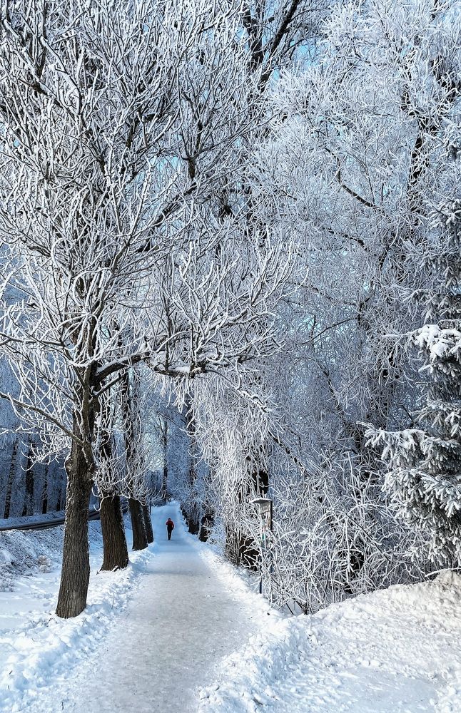 Photograph by Ирина Сорока