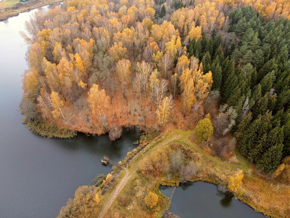 Photograph by Дмитрий Дулин