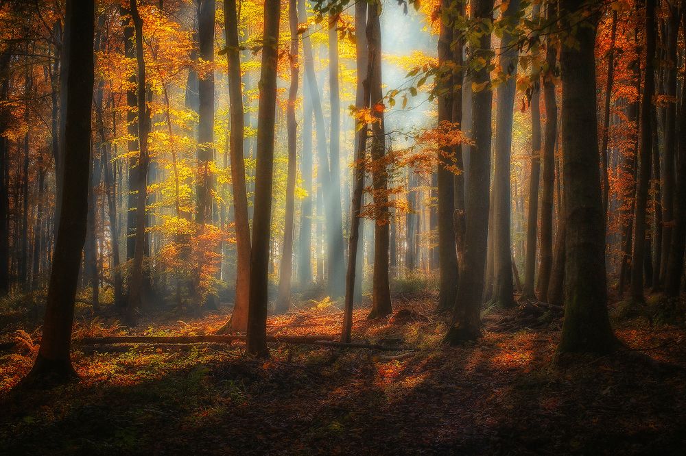 Photograph by Владимир