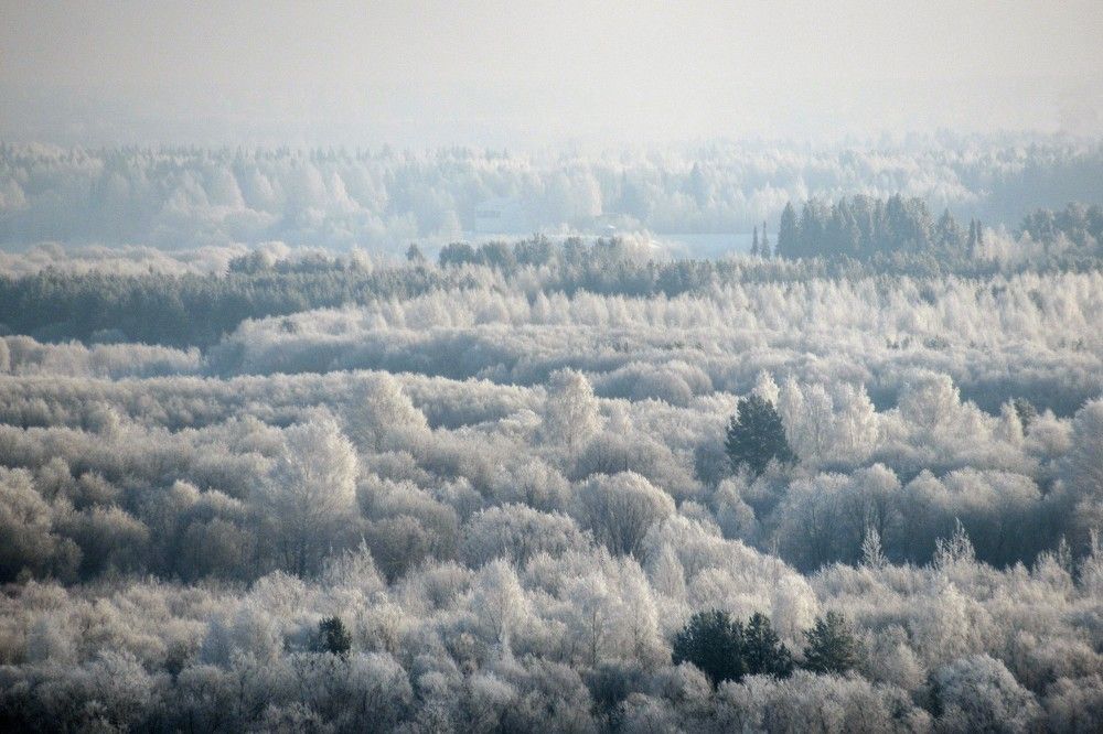 Photograph by Ольга Березовская