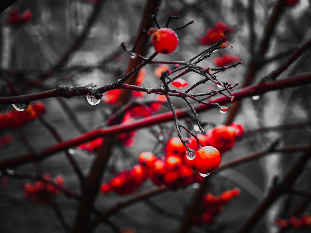 Фотография автора Иван Мисько