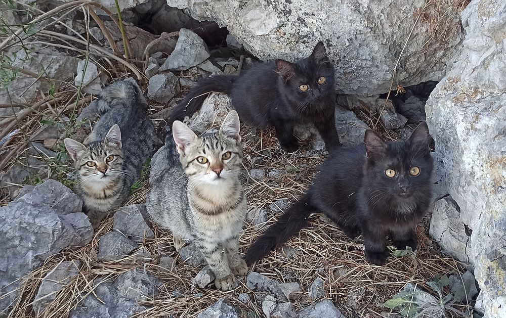 Photograph by Евгений Самулев