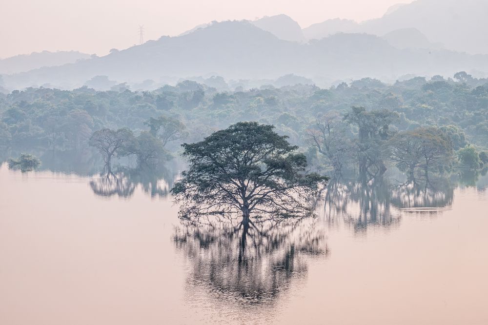 Photograph by Анатолий Асеев