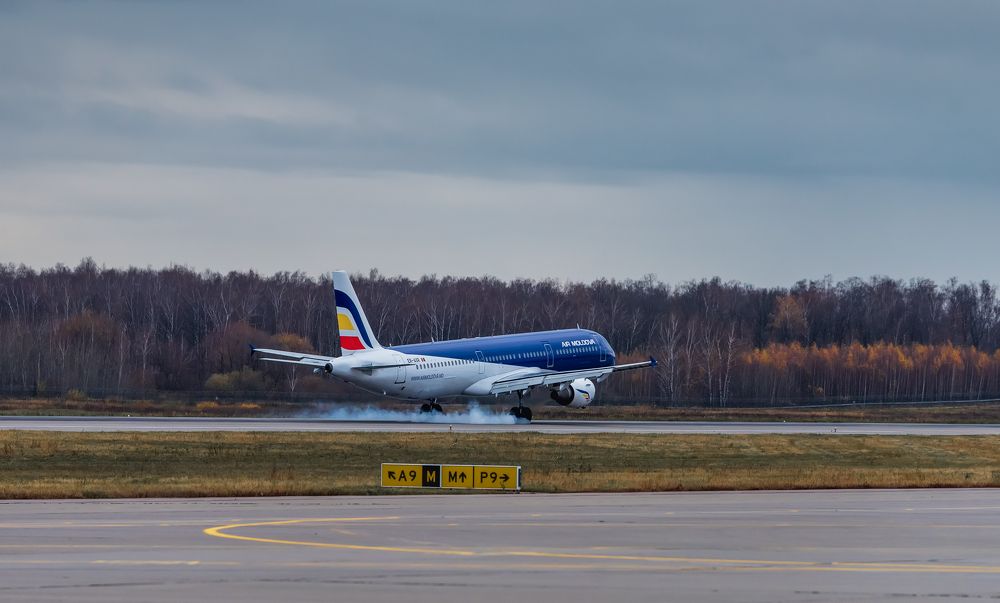 Photograph by Левыкин Виталий