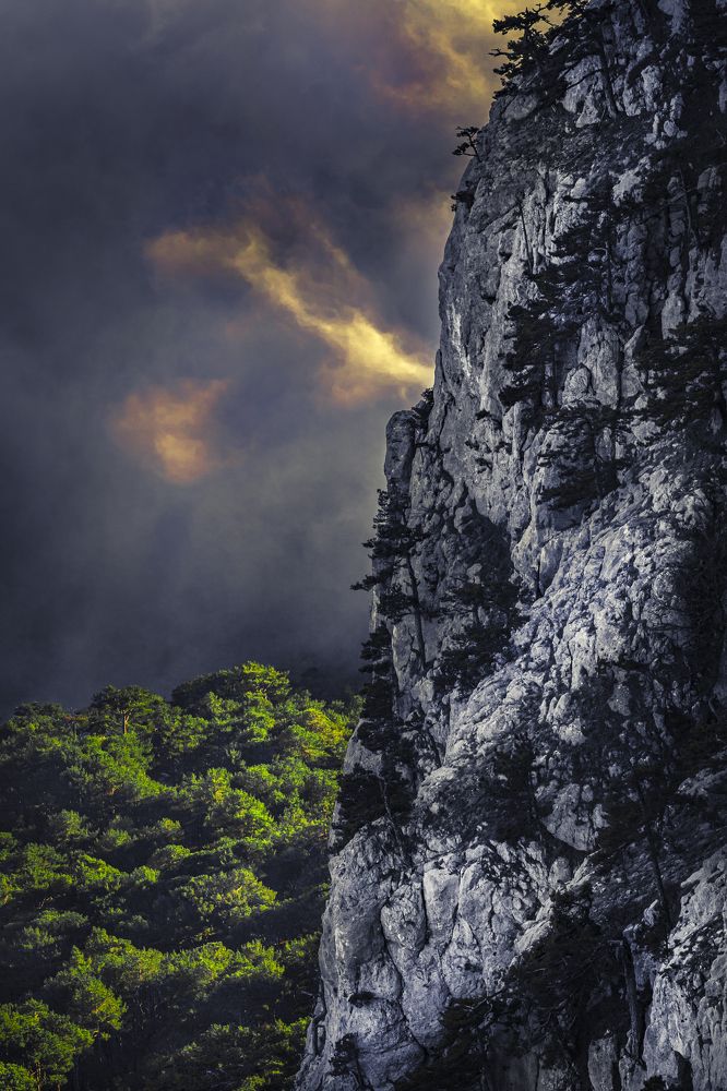 Photograph by Игорь Толкачев