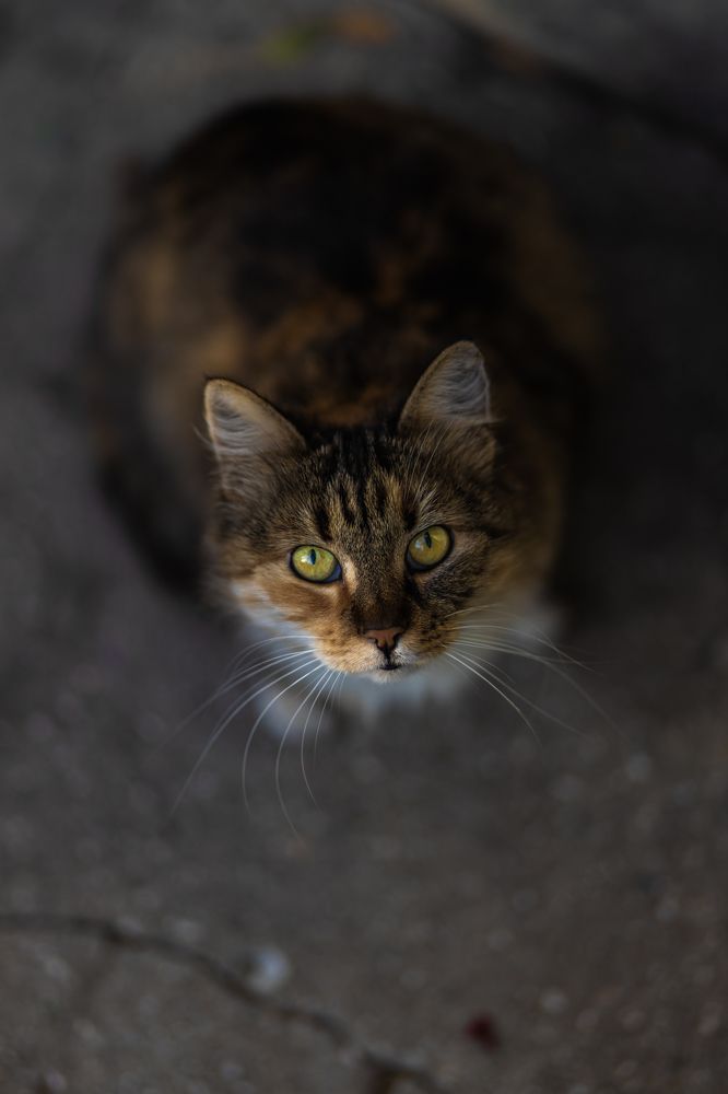 Photograph by Павел Дженбаз