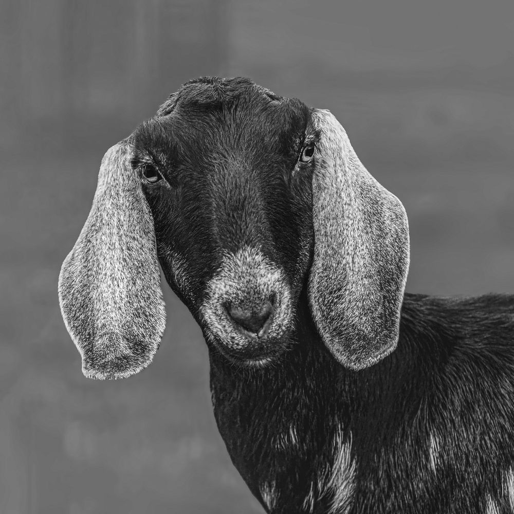 Photograph by Анжелика Титова