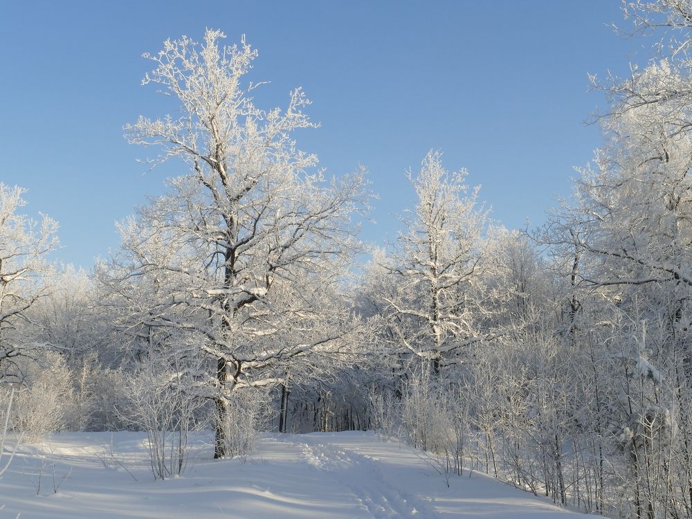 Photograph by Александр Кизим