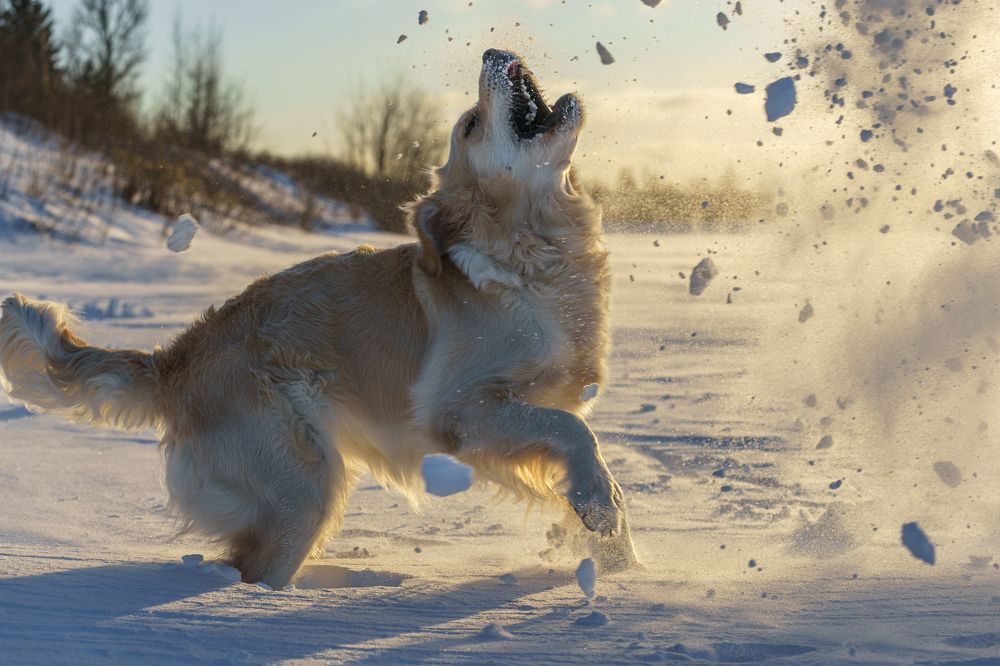 Photograph by Татьяна