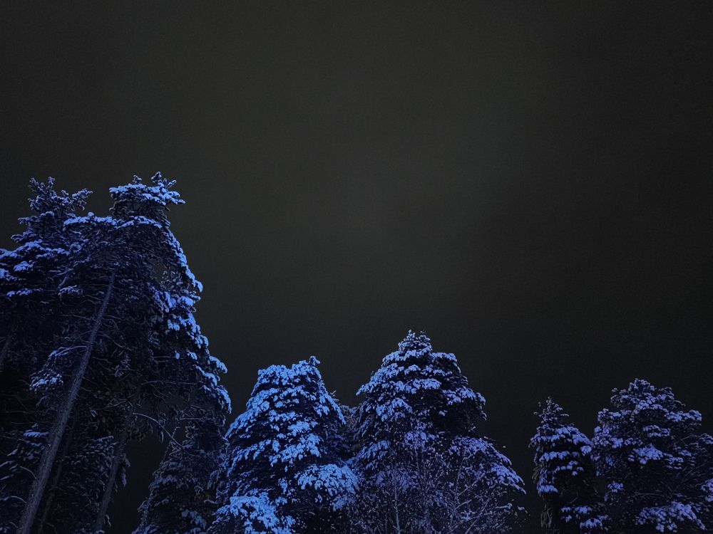 Photograph by Надежда Юшкова