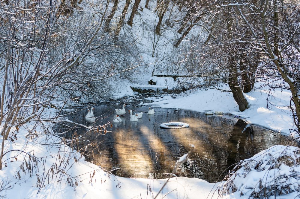 Фотография автора OVIDIU-IOAN TICU
