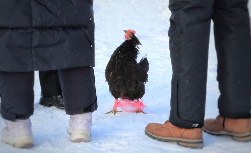 Photograph by Мария Андреева