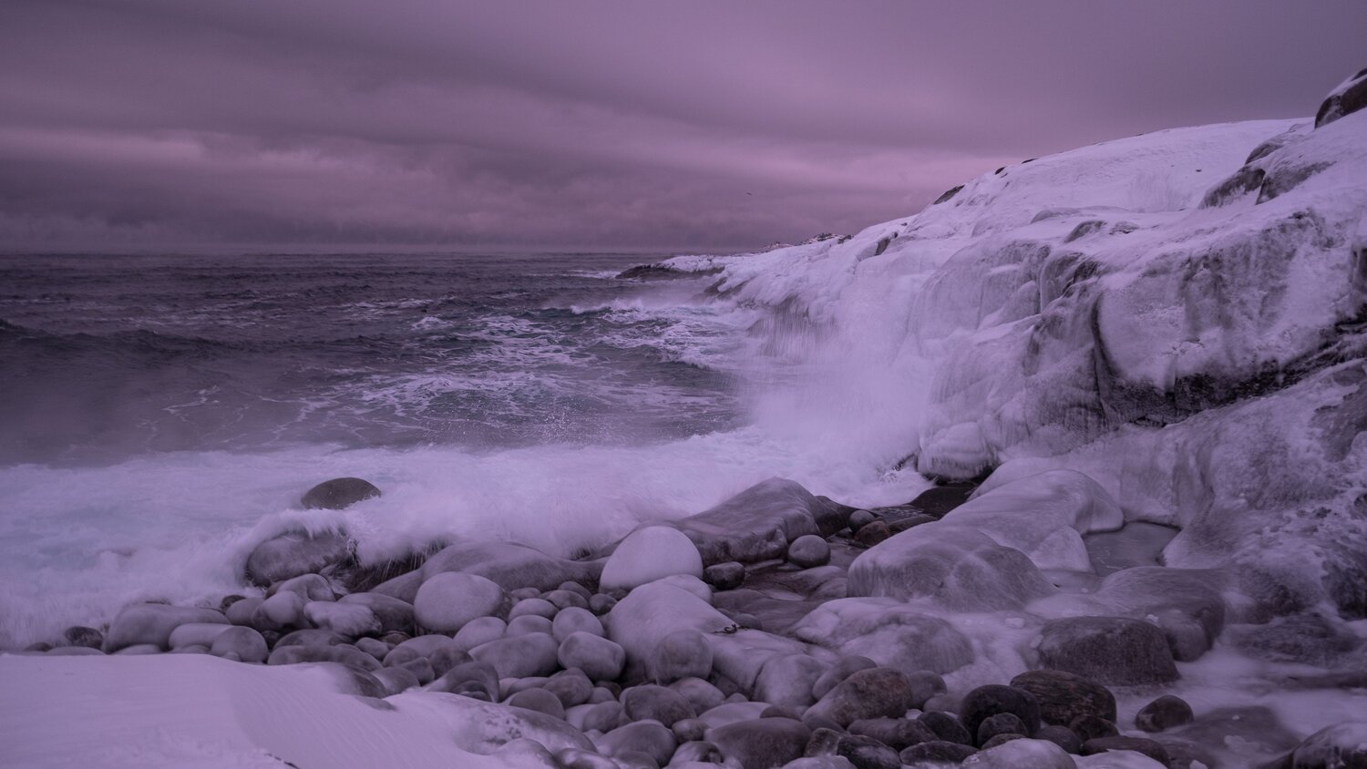 Photo #10105455