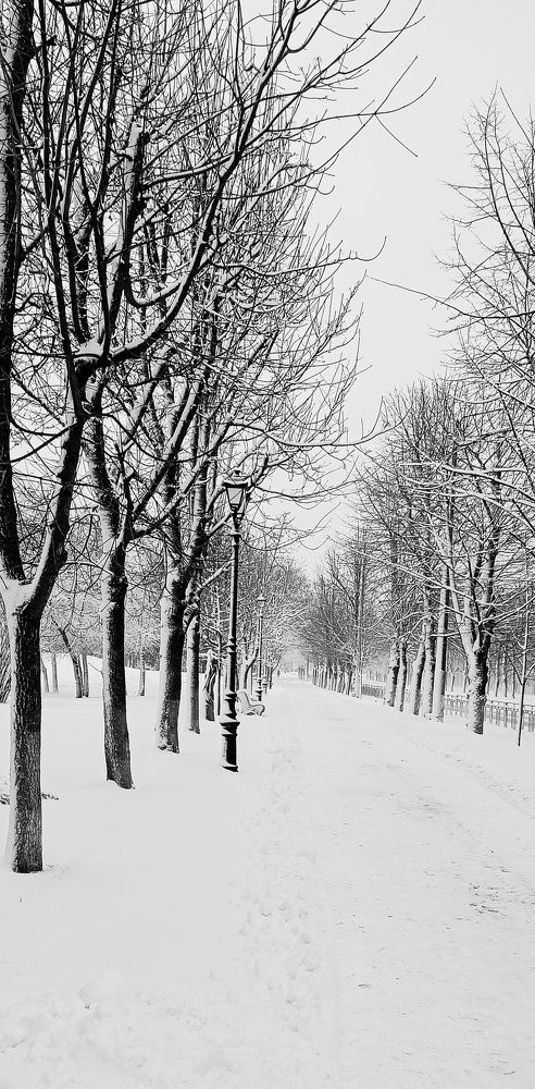 Photograph by Надежда Дойбан