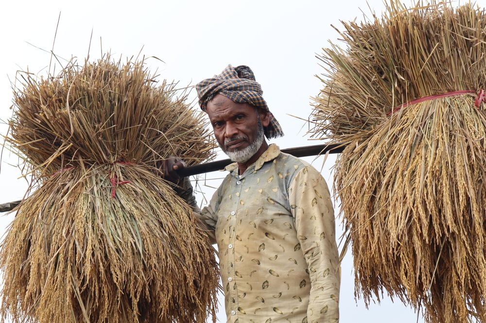 Photograph by SHAFIQ MAHMUD