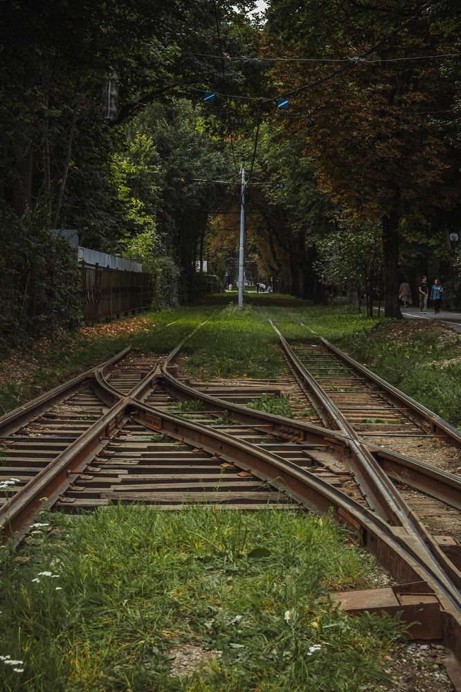 Photograph by Tatiana Potapenko