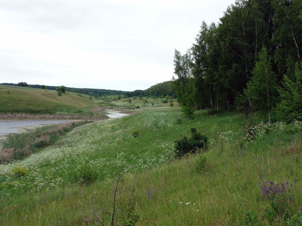 Photograph by Игорь Шевердин