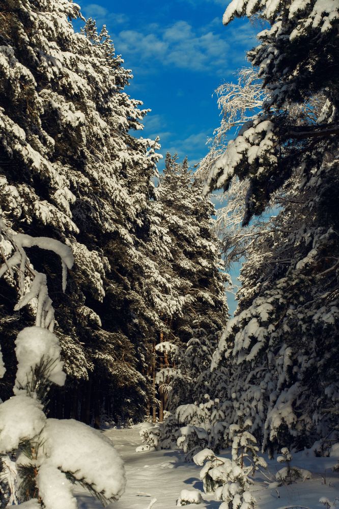 Photograph by Angelina Karelina