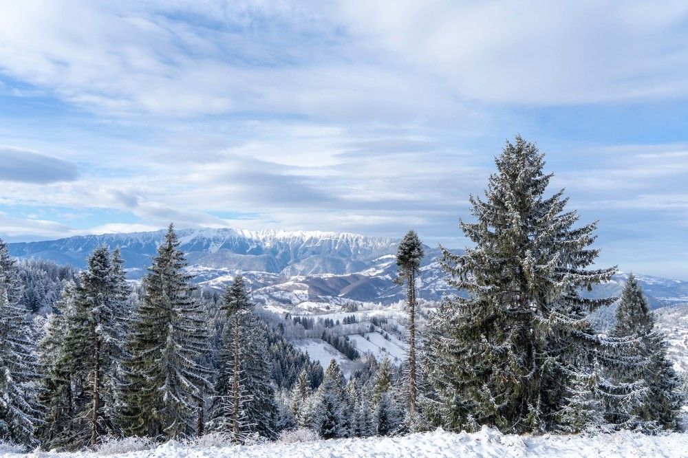 Фотография автора Ирина Зайцева