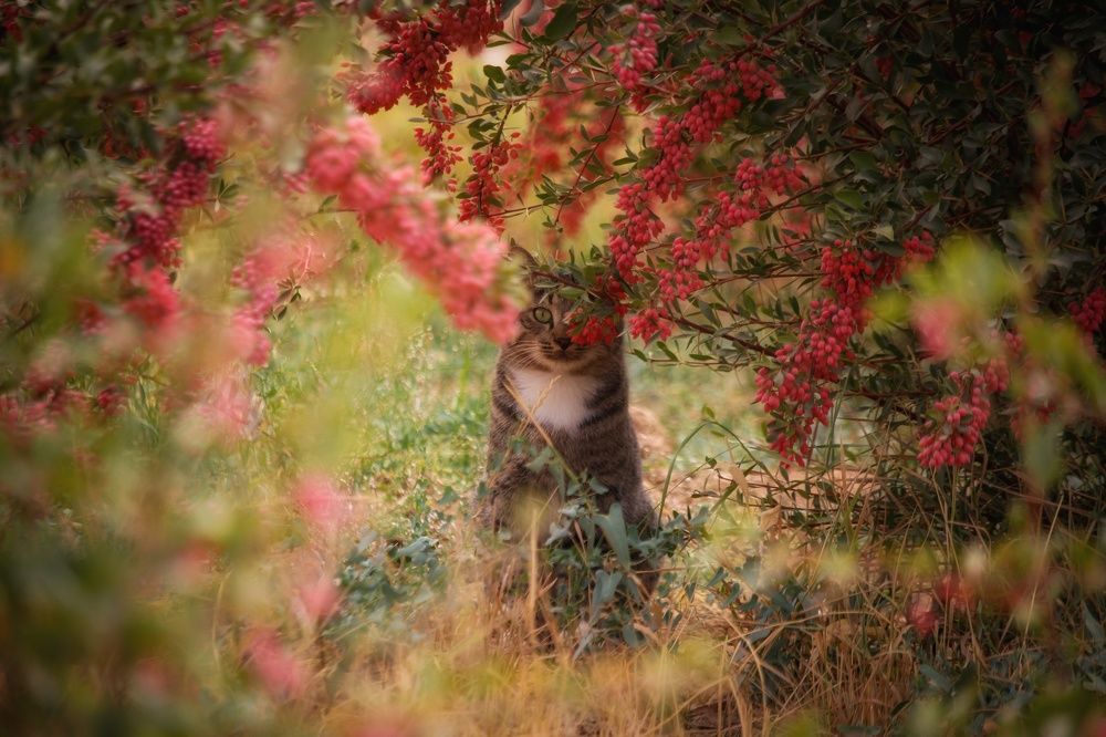 Photograph by Mansouri Mohammad mahdi