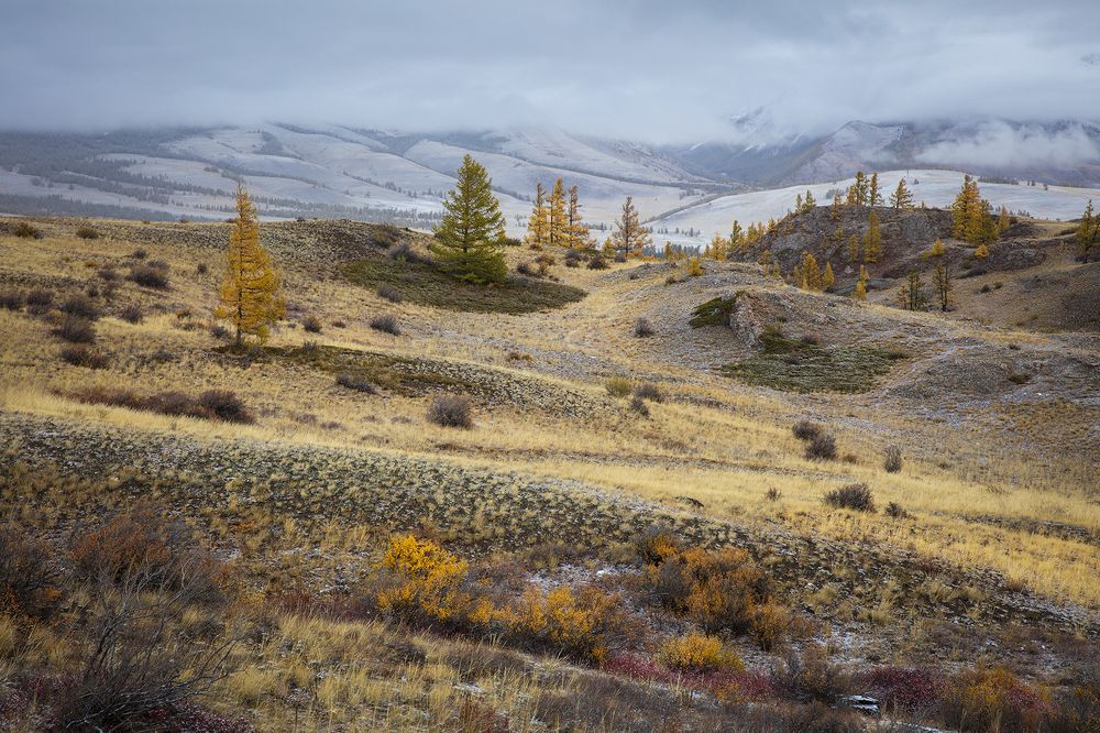 Фотография автора Сергей Шульга