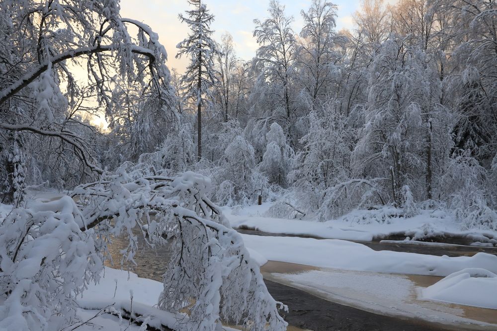 Photograph by елена