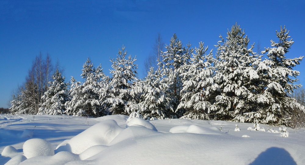 Фотография автора Анатолий Борисов