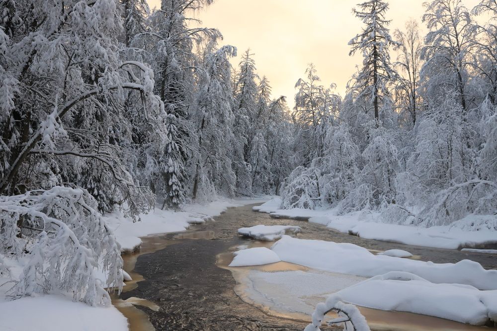 Photograph by елена