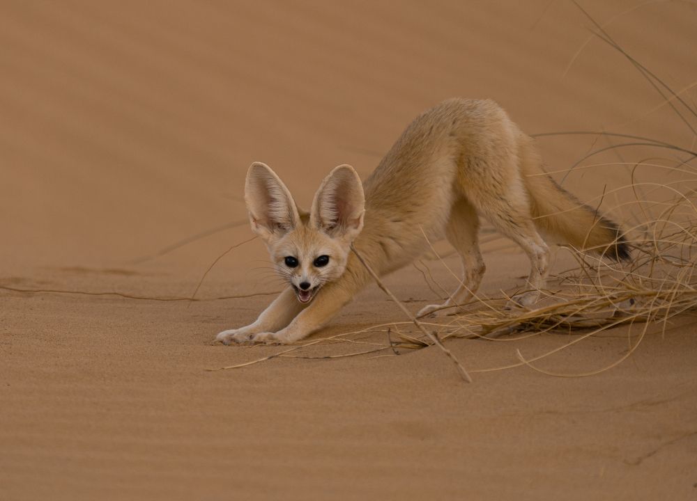Photograph by Владимир Цветов