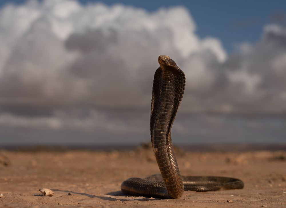 Photograph by Владимир Цветов