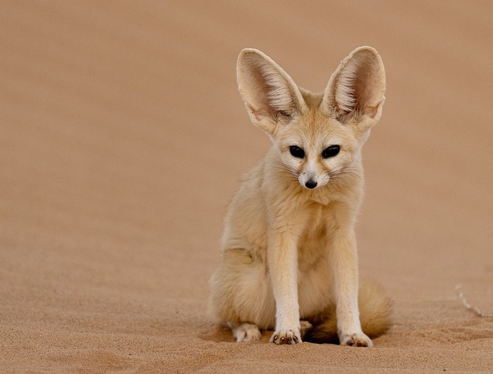 Photograph by Владимир Цветов