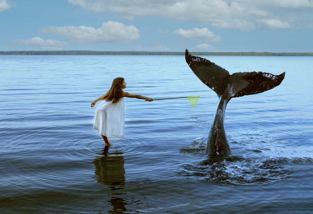 Ловись рыбка