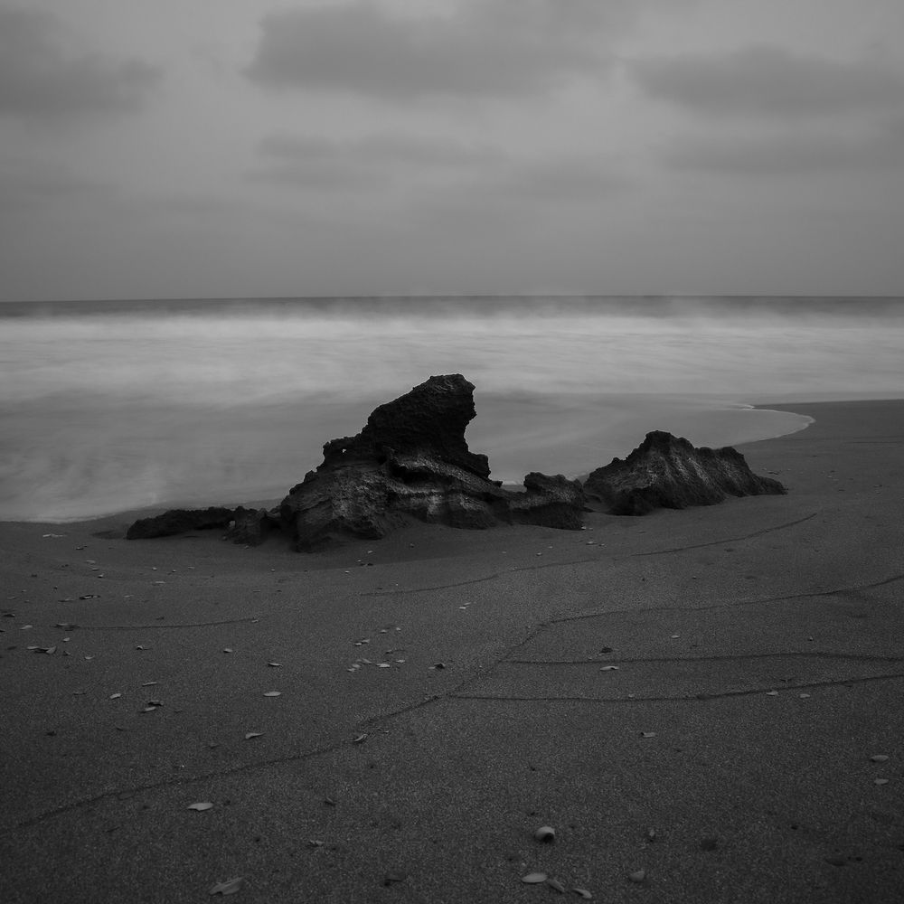 Leafs near the cliff