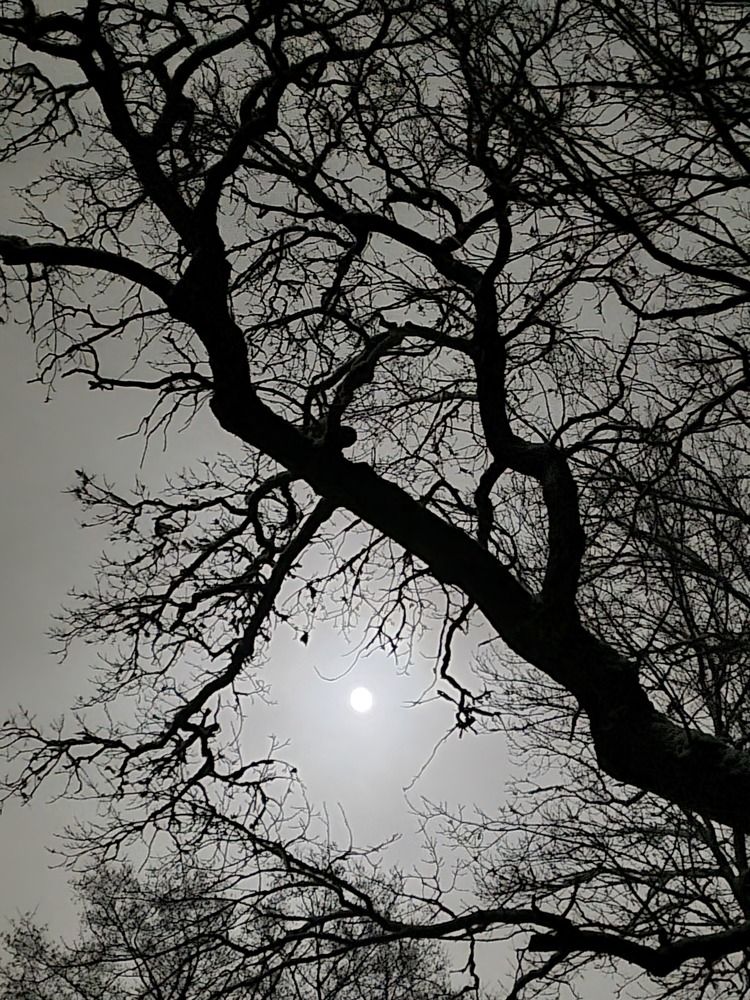 Photograph by Максим Иванов