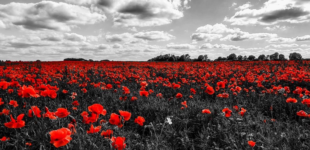 Photograph by Луценко Роман