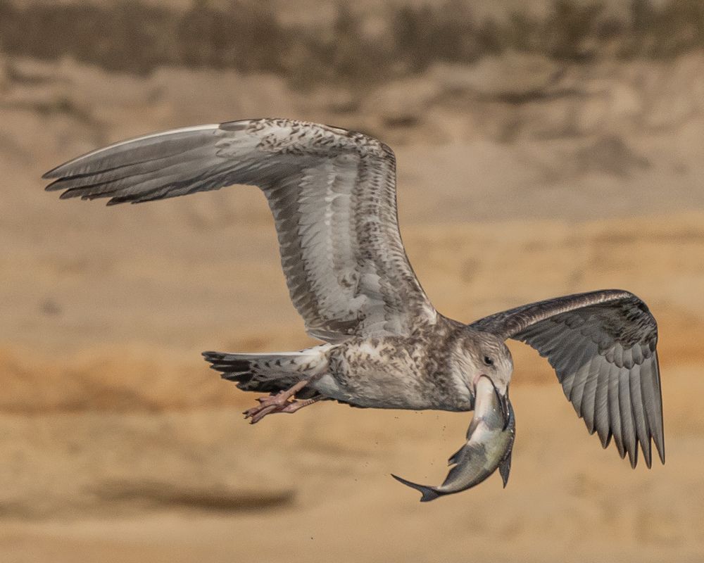 Фотография автора Инна Субботина