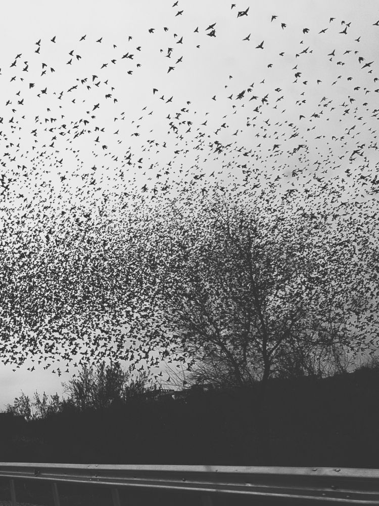 Photograph by Victoria Stoliarenko