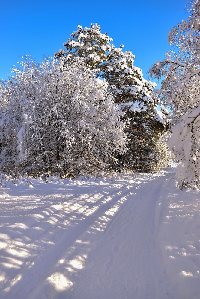 Photograph by Елена Амозова