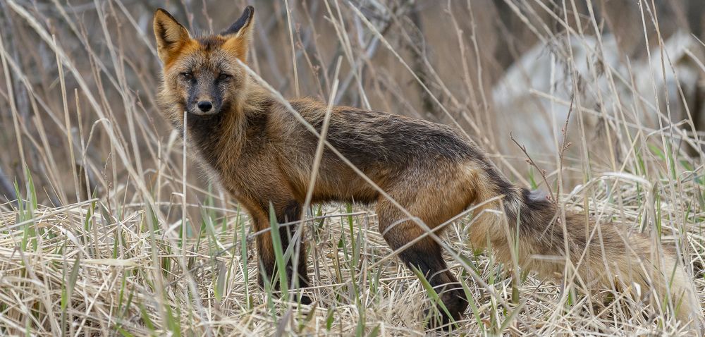 Photograph by Владимир