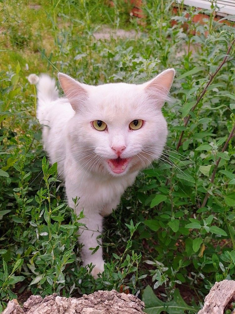 Photograph by Юлия Жулидова