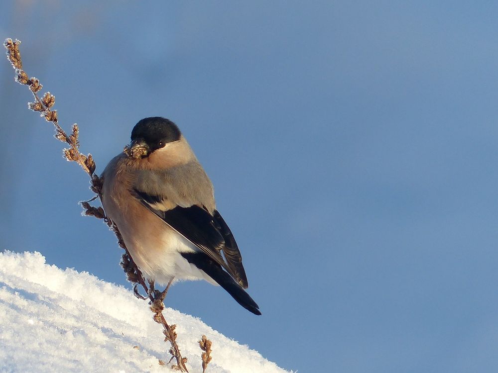 Photograph by Георгий Салюков