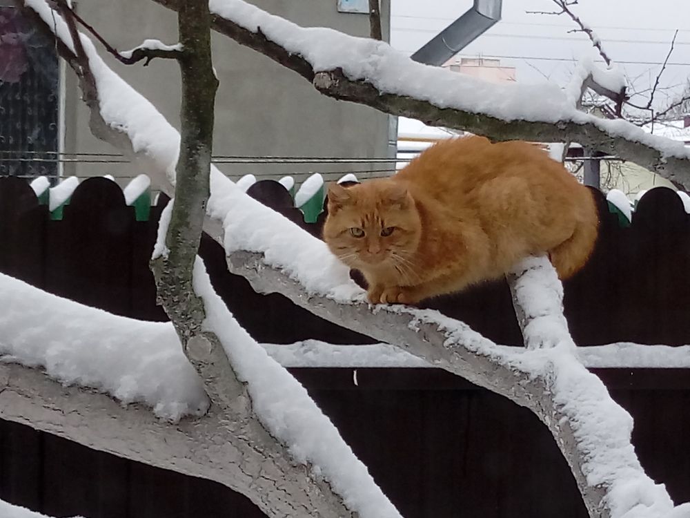 Photograph by Aliaksei Sauko